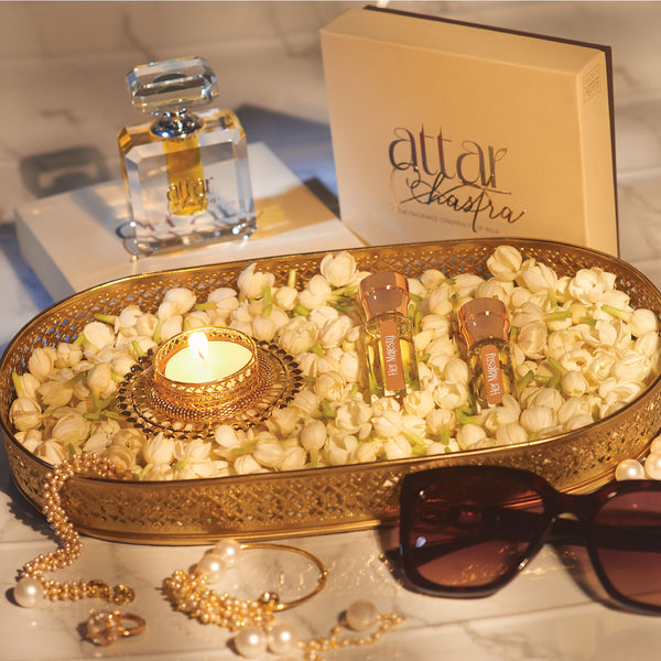 Her Majesty - Night queen jasmine absolute