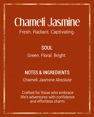 Chameli Jasmine - Luxury Attar (Perfume Oil)