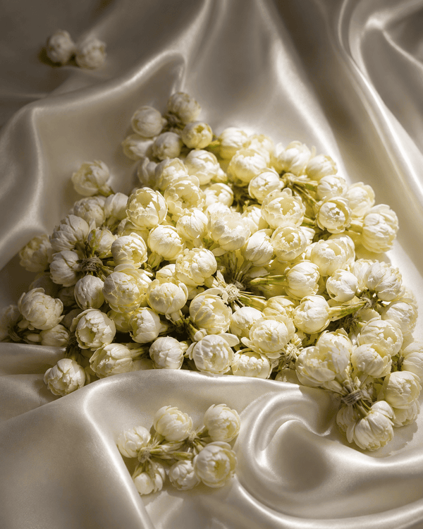 Mogra Jasmine – Luxury Attar (Perfume Oil)