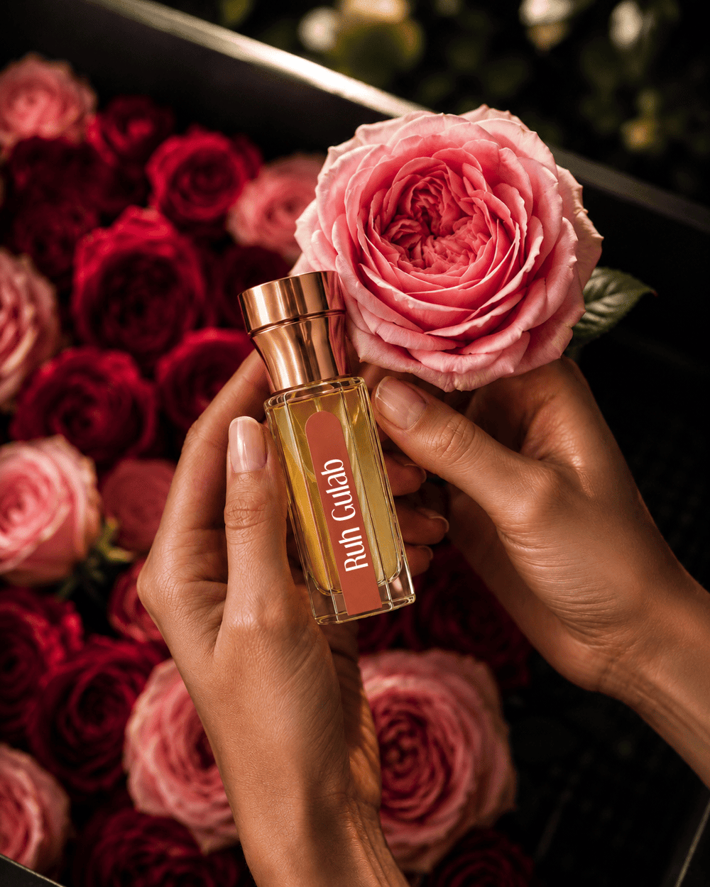 Ruh Gulab (Indian Rose)  – Luxury Attar (Perfume Oil)