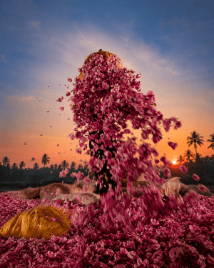 Ruh Gulab (Indian Rose)  – Luxury Attar (Perfume Oil)