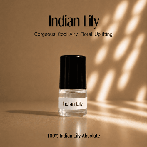 Indian Lily Absolute