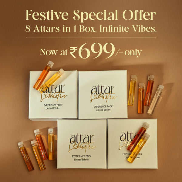 Experience Pack of 8 Bestsellers
